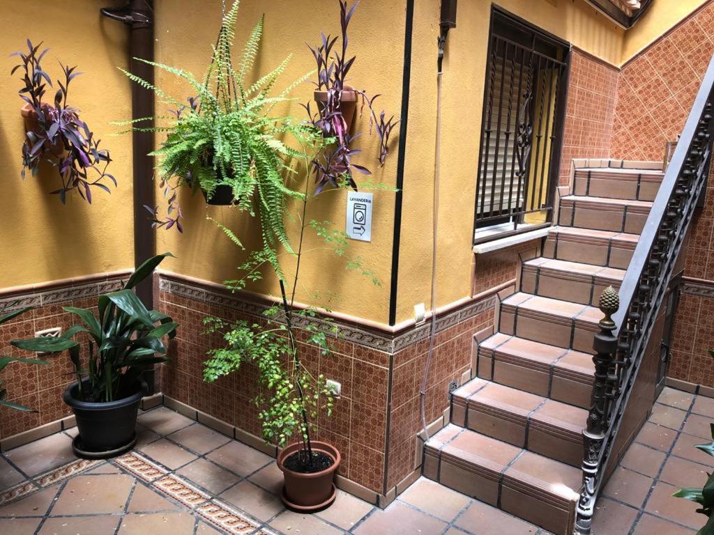 Apartamento Familiar En Toledo, Con 2 Dormitorios, Camas De Matrimonio, Ideal Ubicacion Y Fantasticas Vistas エクステリア 写真